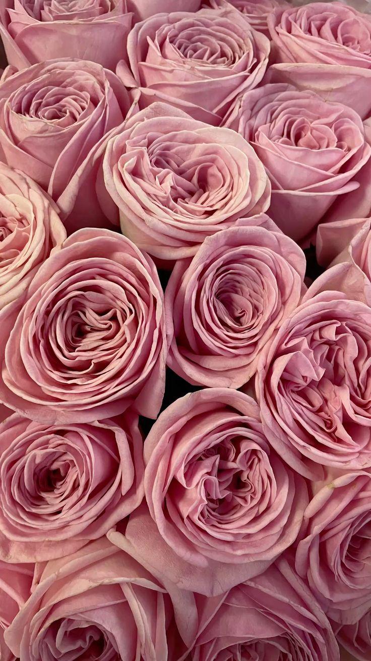 Eternal Embrace of Lush Floral Hues